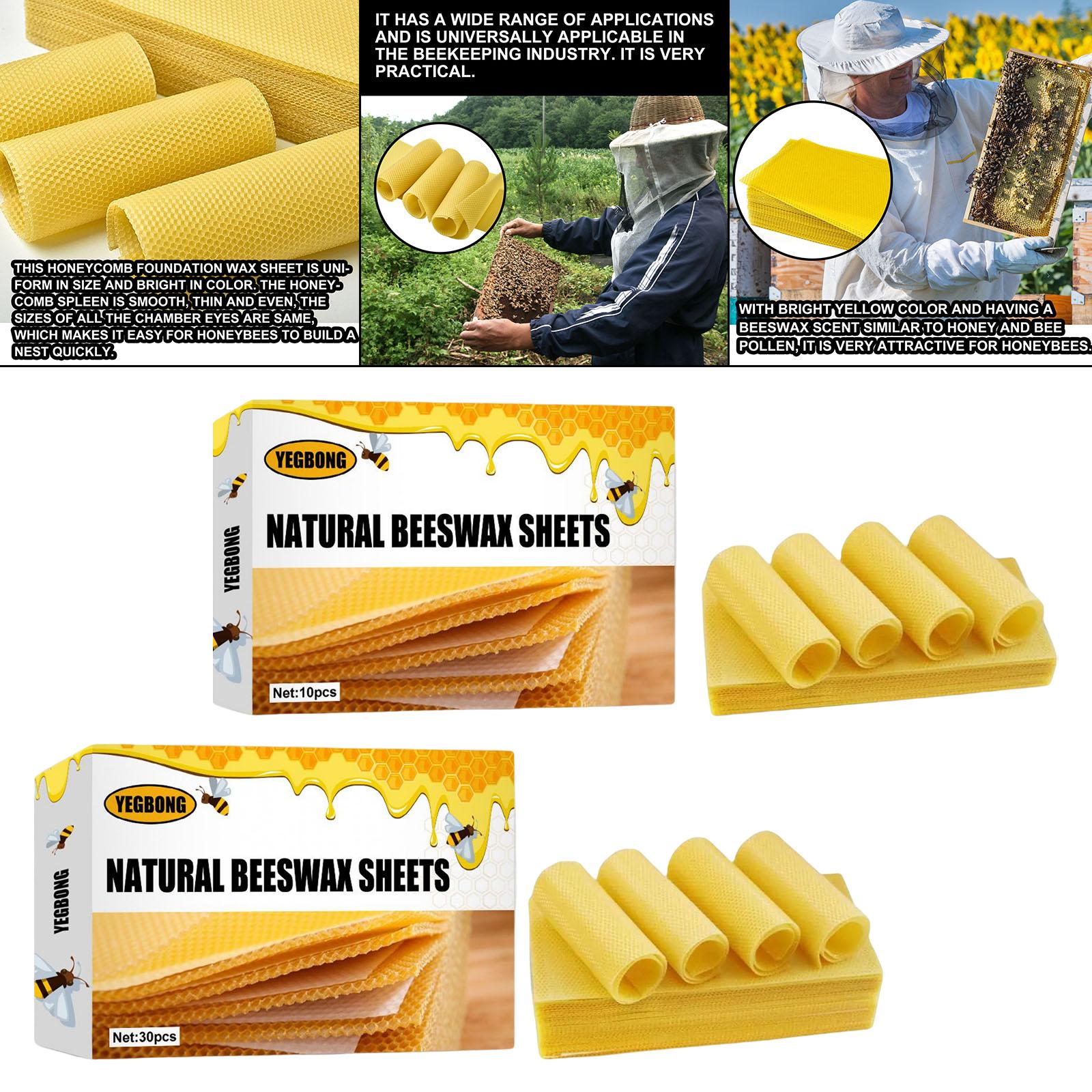 Beeswax Sheets, Beekeeping Fou - Candle Making Kit ulasan dan harga